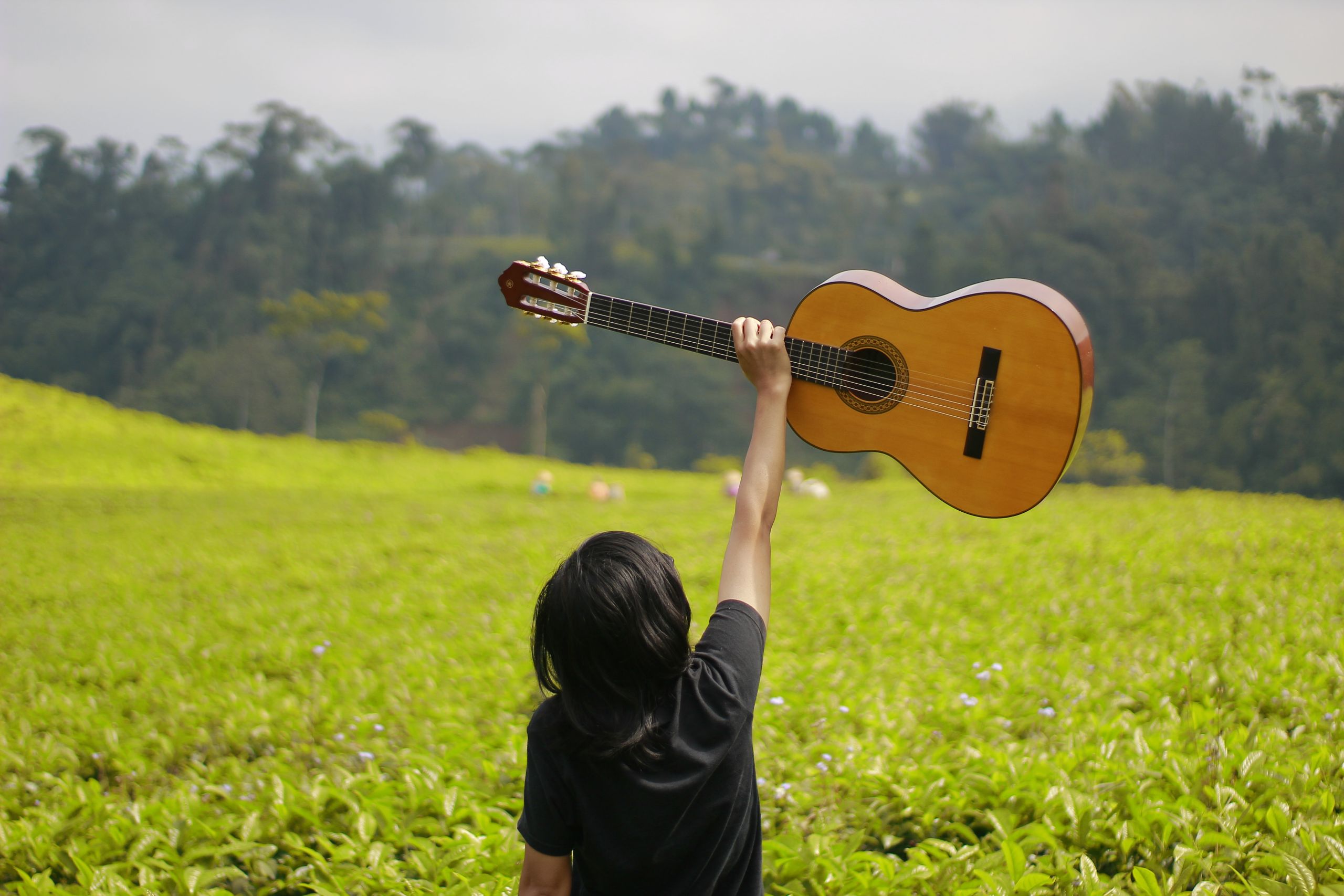 Acoustic Guitar